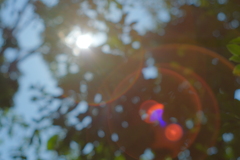 夏はまだ終わらない･･･