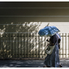 蝉時雨･･･