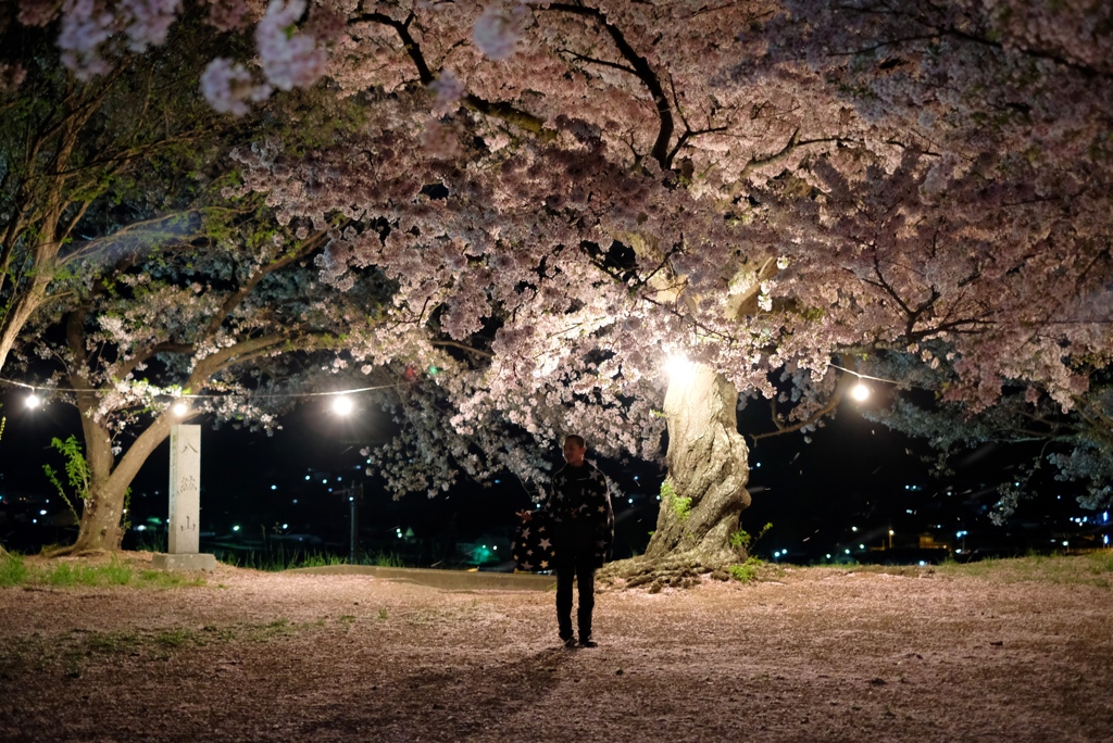 夜桜と星の少年-⑦