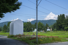 八月の花園。