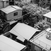 満開･･･