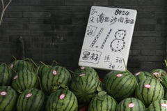上海的西瓜-④