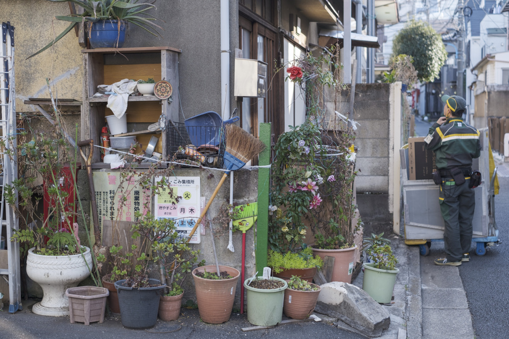 路地裏のクロネコさん･･･