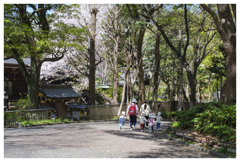 しあわせの坂道･･･
