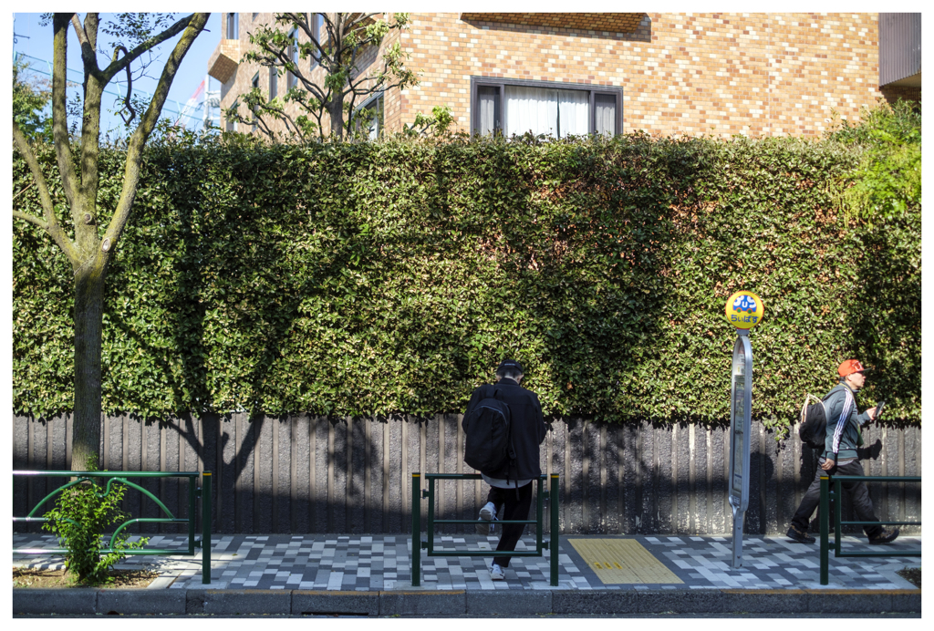 CAPの季節･･･