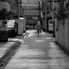 夏の気配･･･