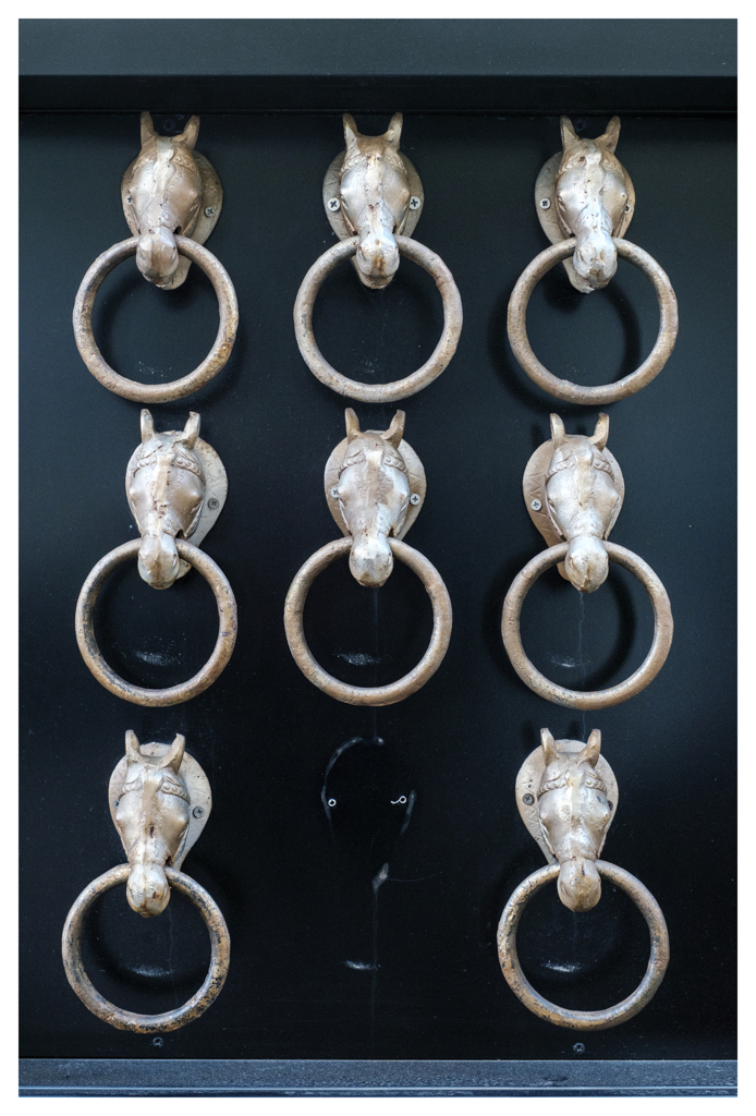 トーキョーズ 珍百景-202601