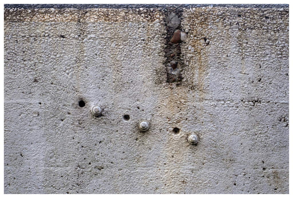 自由奔放･･･