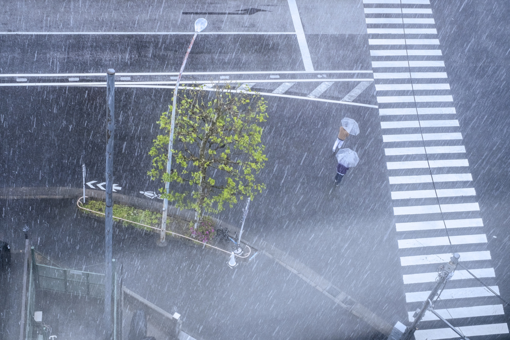 バケツをひっくり返したのは誰ダ？