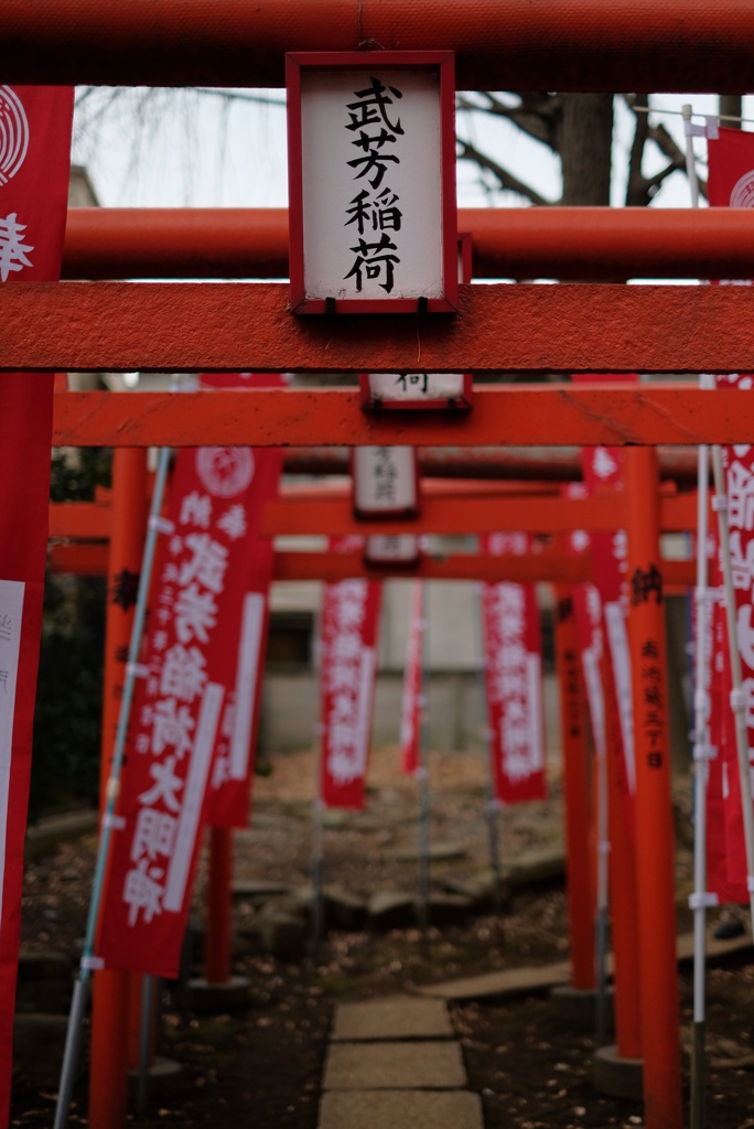 神聖な色に染まる