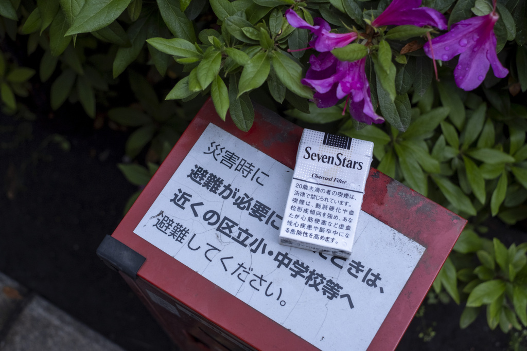 懐かしいトモダチにあった様な･･･
