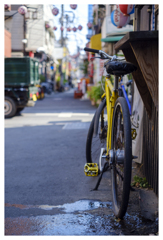 路地に棲む･･･