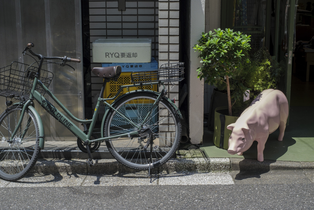 ブタに自転車。