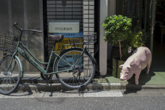 ブタに自転車。