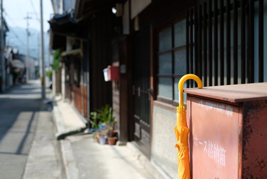 晴れた日に黄色の傘を撮る