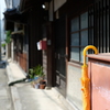晴れた日に黄色の傘を撮る