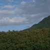 故郷の夏-⑬