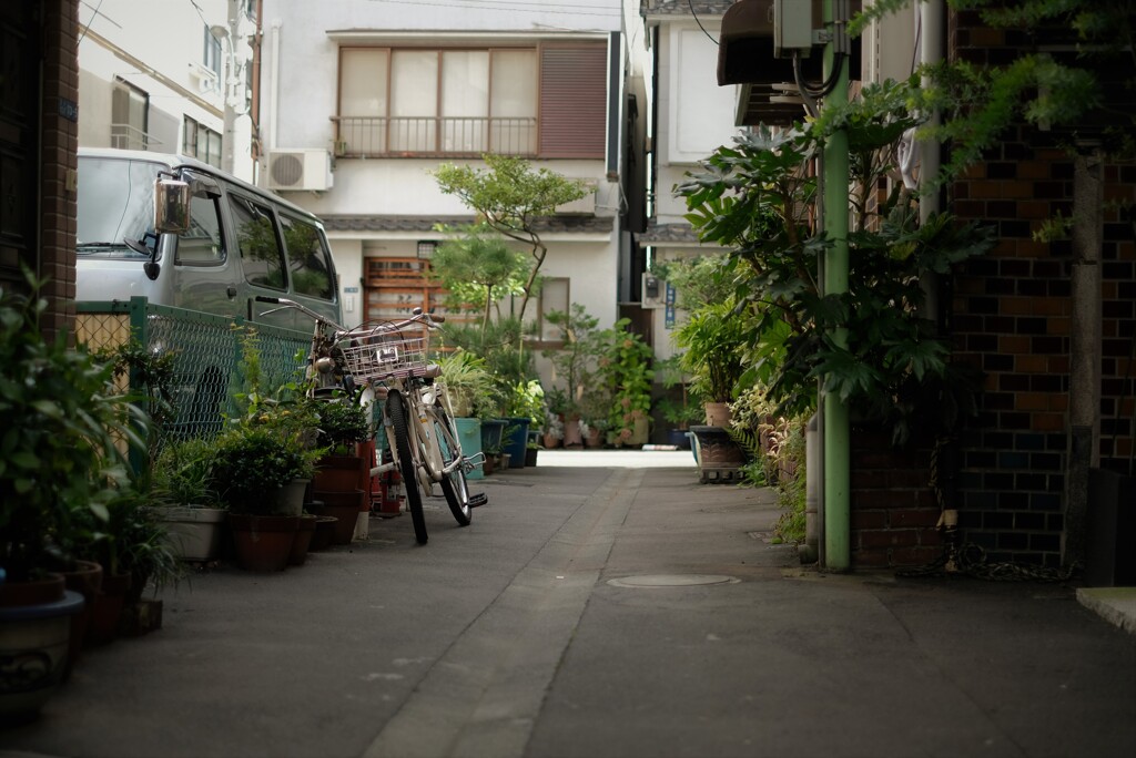 路地裏から･･･
