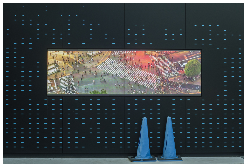 11月のロードショー･･･