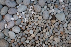 いつの間にか・・・