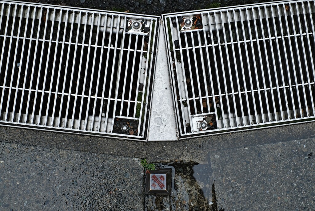 トーキョーメタル-202105