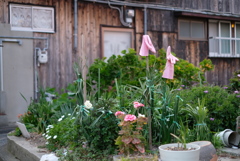 春はどこから-⑧