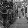 なぜか、坂道･･･
