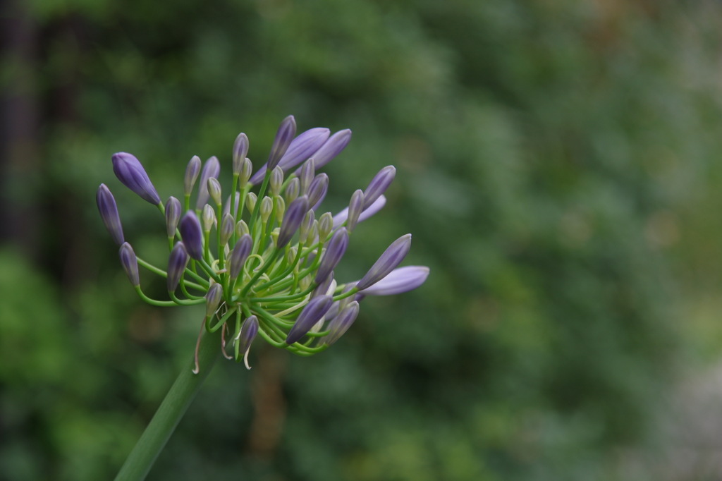 いきるというコト-②