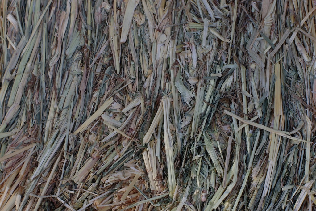 干し草のかたち-①