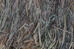 干し草のかたち-①