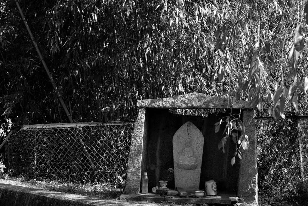 ただそこにいるだけで･･･