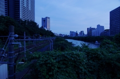 トーキョーブルー-①