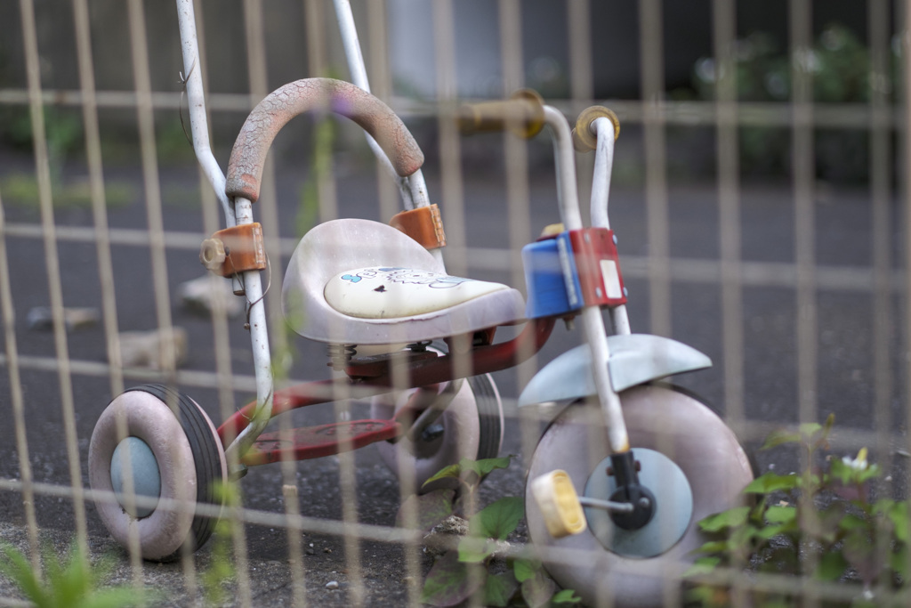 色が教えてくれるもの･･･