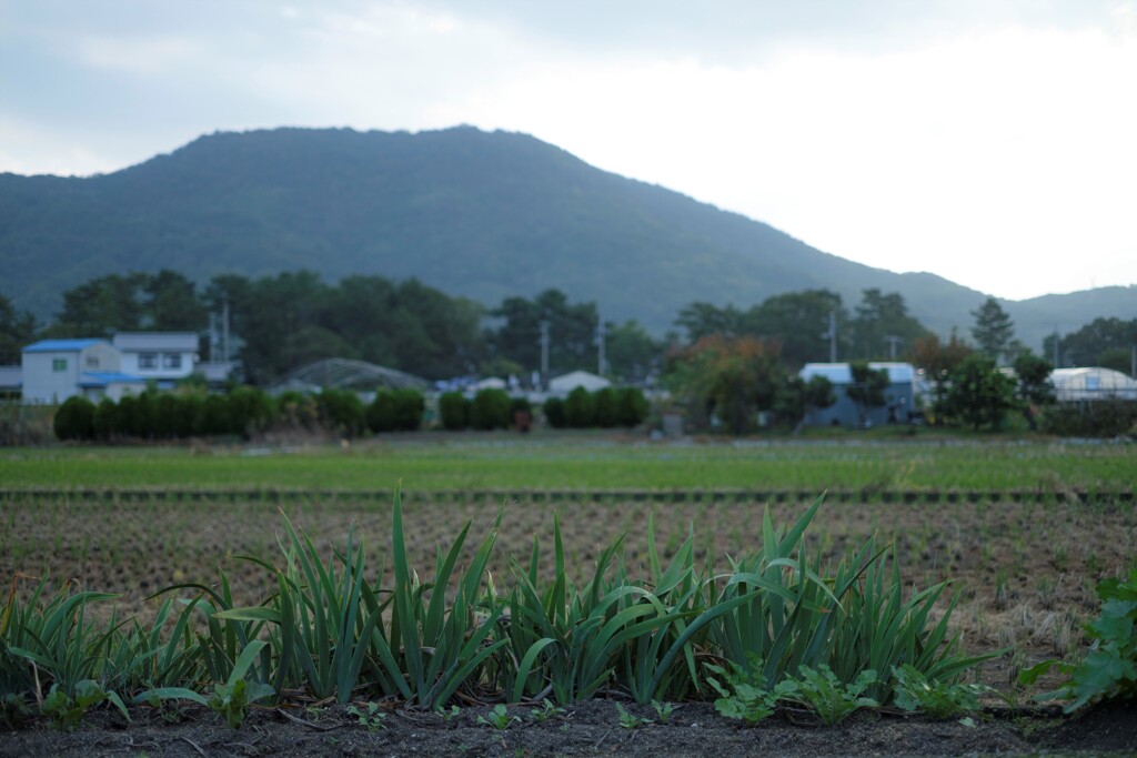 土のにおいがした･･･