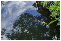 ソラヲオヨグ･･･