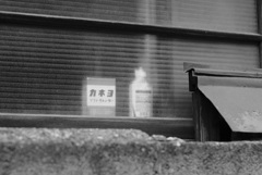 カネヨの夏･･･