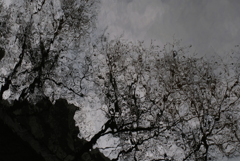 偶然と必然の間で・・・