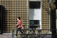 光る風と・・・