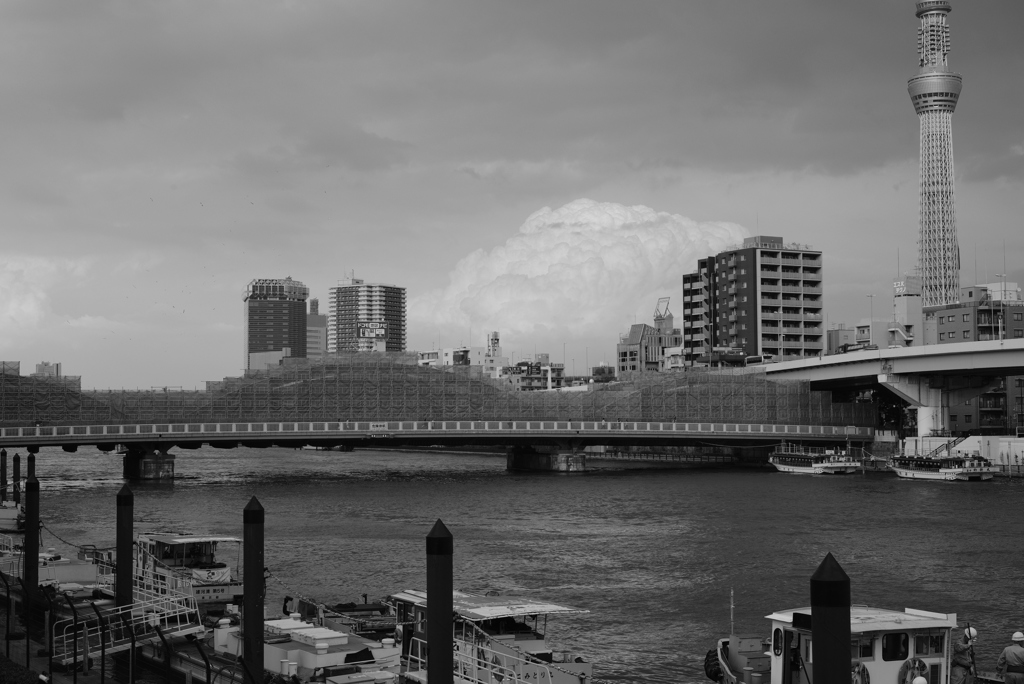 SumidaRiver2017-⑤