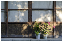 寄り添いながら･･･