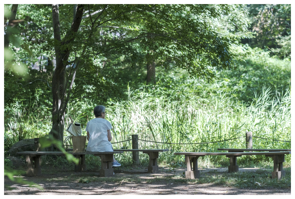 八月を涼しく過ごす。