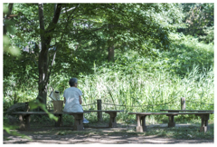 八月を涼しく過ごす。
