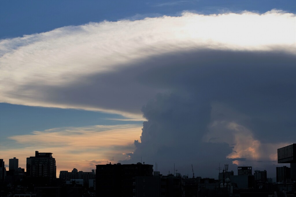 2020年8月最後の日曜日･･･