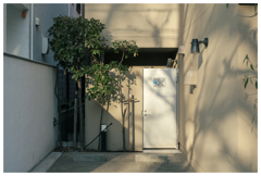 冬の太陽は 優しい影を作ってくれる。