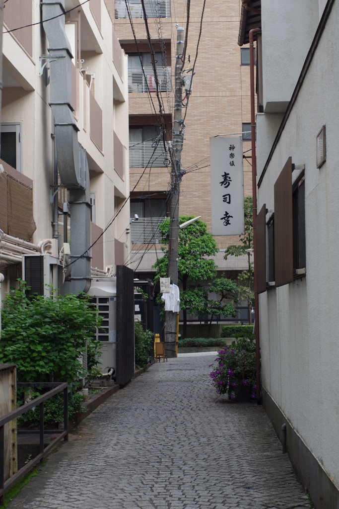 ここは神楽坂-⑤