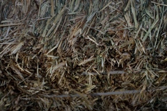 干し草のかたち-④