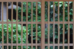 ここは神楽坂-③