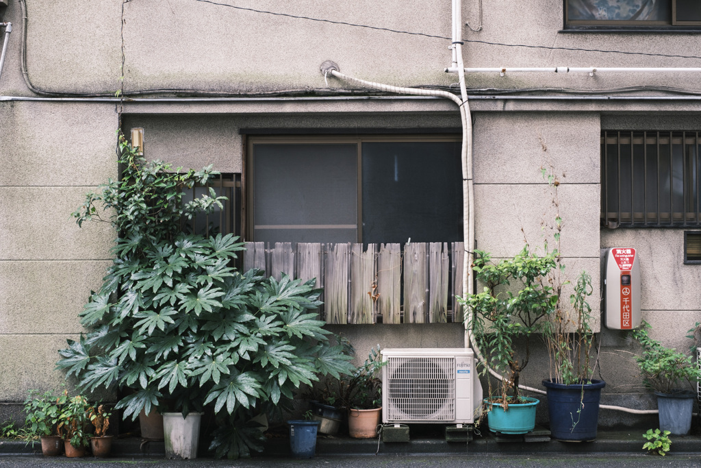 初めてなのに懐かしい･･･