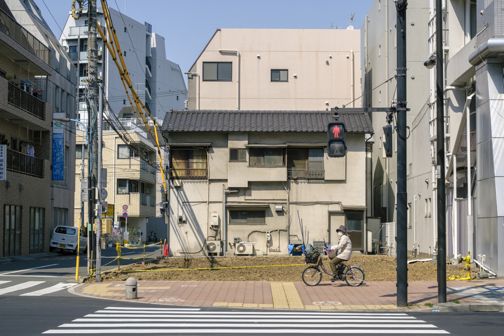 ハルさんが来た･･･