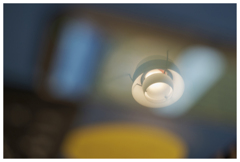 春色のライト見つけた･･･